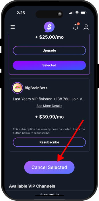 VIP cancel - 3.png